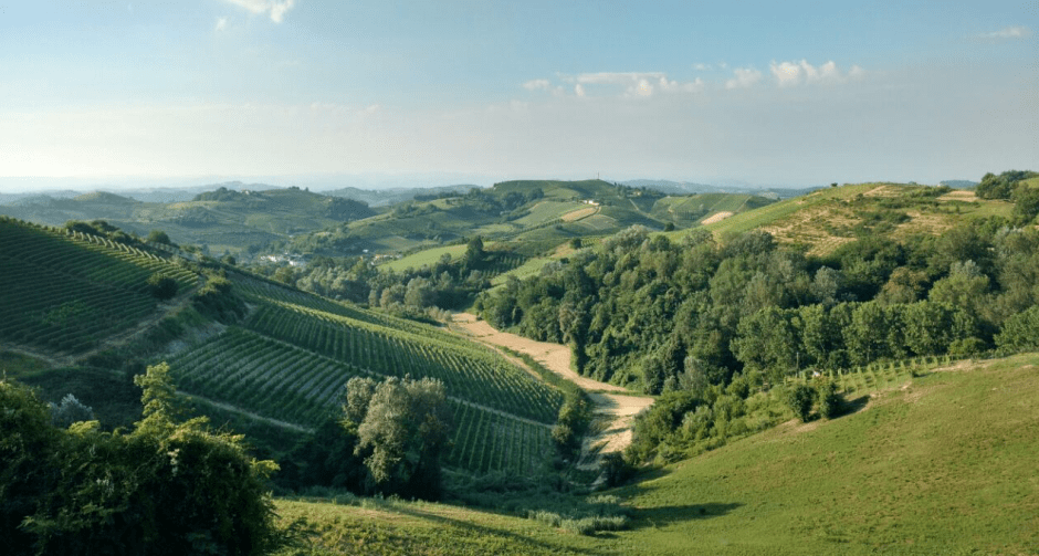 Schermata 2017-06-26 alle 21.21.07